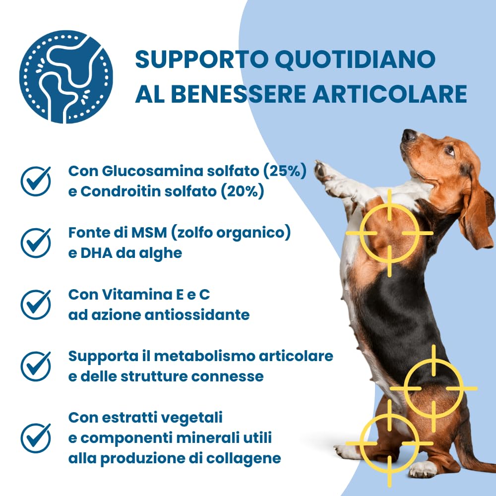 Pet Balance by Tecnozoo - Motion - Mangime Complementare per la Funzionalità Articolare - con Glucosamina solfato e Condroitin solfato (20%), Vit. E e C Fonte di MSM e DHA, 180 g 120 Compresse