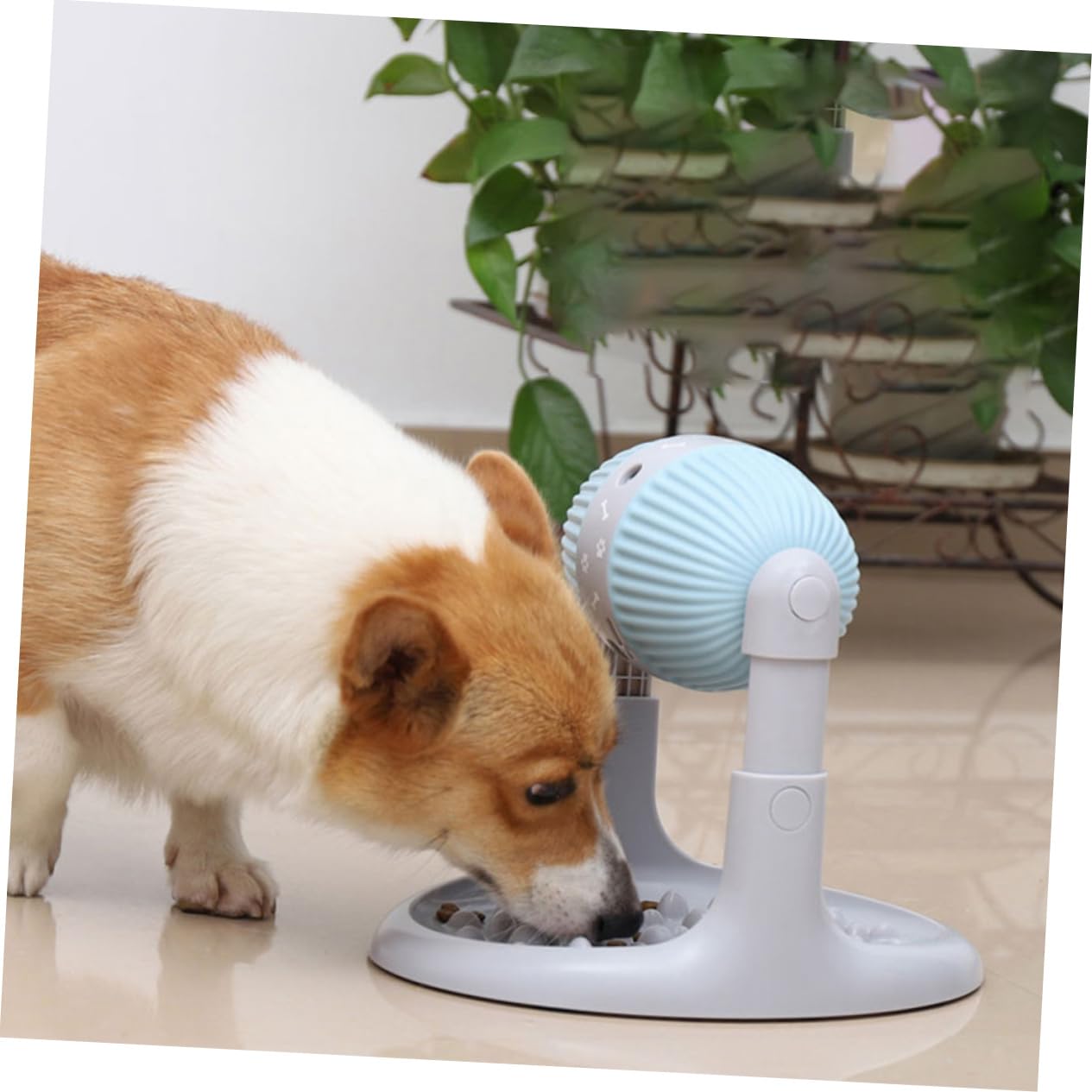 Höhenverstellbarer Leckerli-Spender Für Hunde Slow Feeder Zum Langsamessen Und Training Von Essgewohnheiten rutschfeste Basis Einfach Zu Reinigen