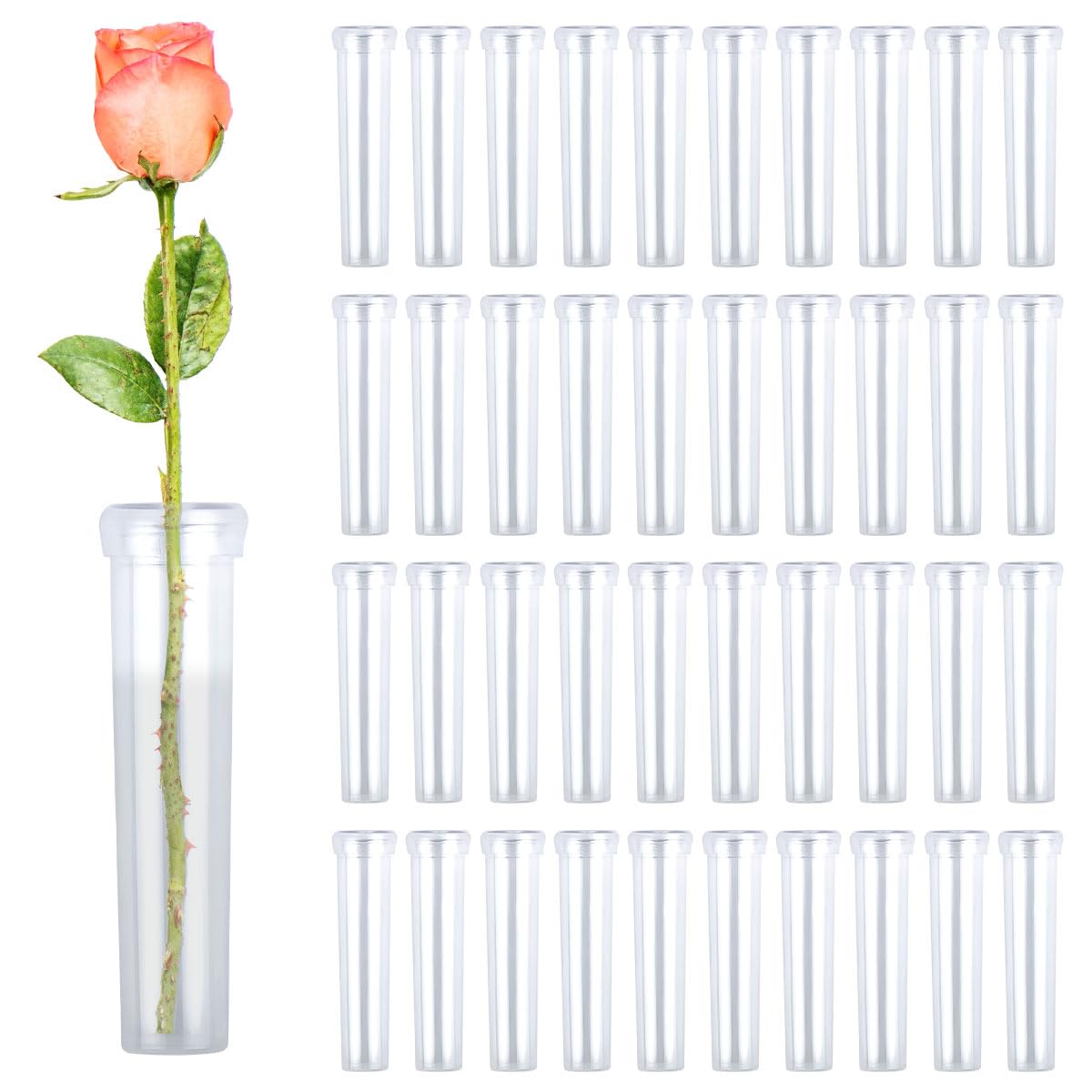 100 Blumenröhrchen Mit Kappen – Wiederverwendbare Wasserröhrchen, 1,8x7 Cm, Perfekt Für Blumenläden, Restaurants & Zuhause