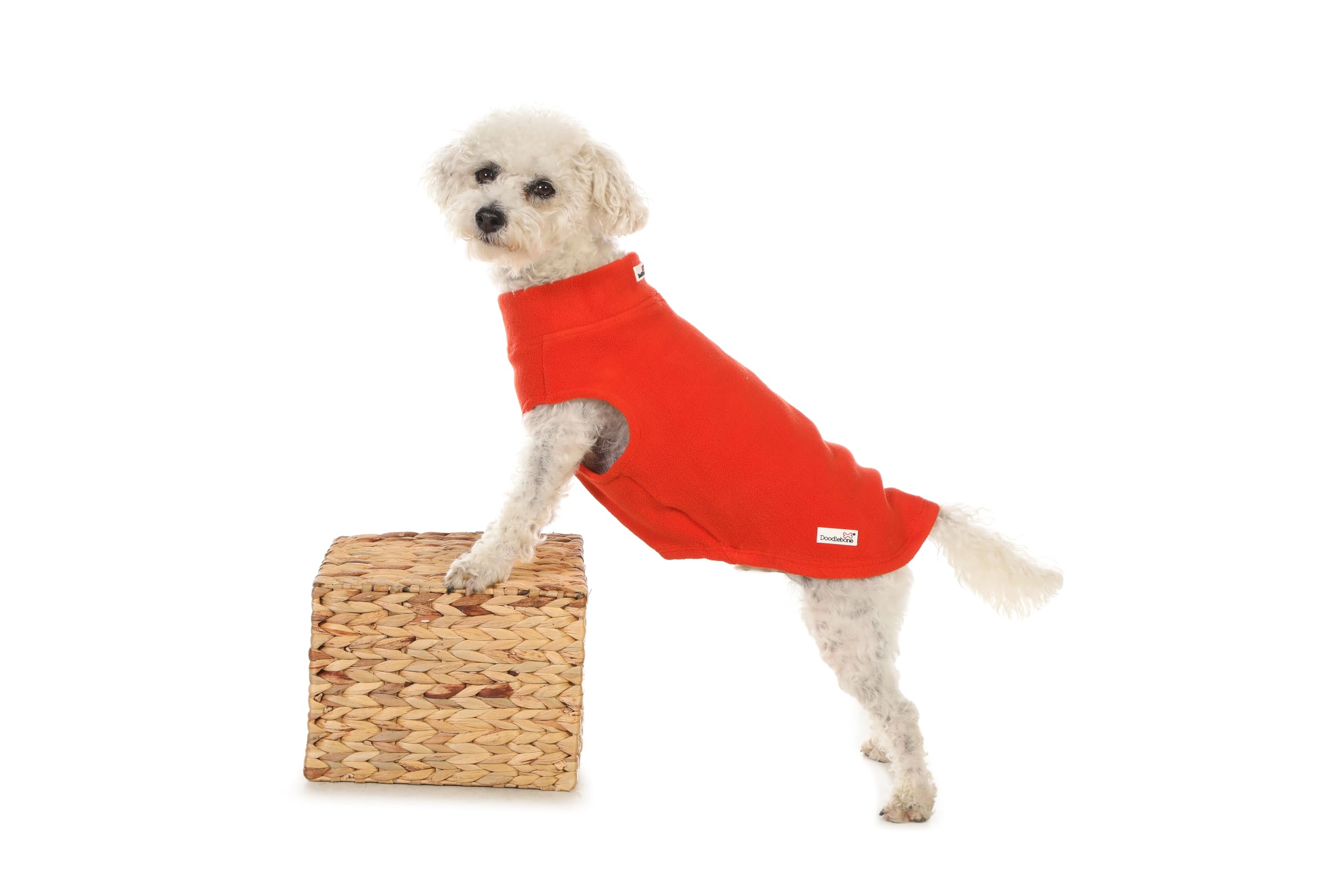 Doodlebone Dog Fleece (Pumpkin, 3) - Image 2