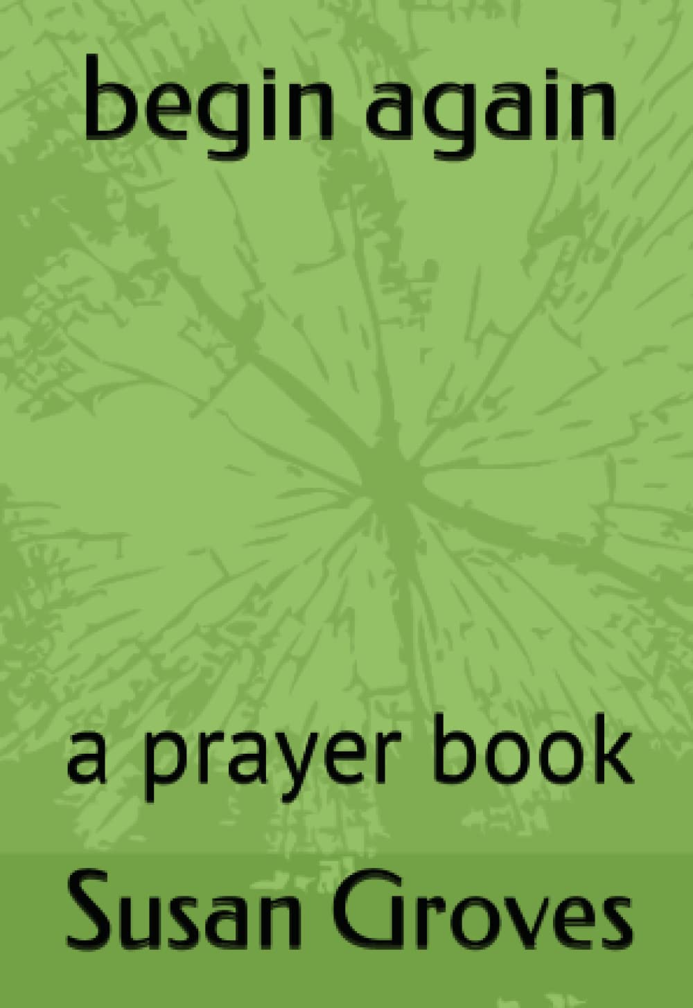 begin again: a prayer book