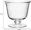 LSA International Serve Tall Comport 22cm Clear