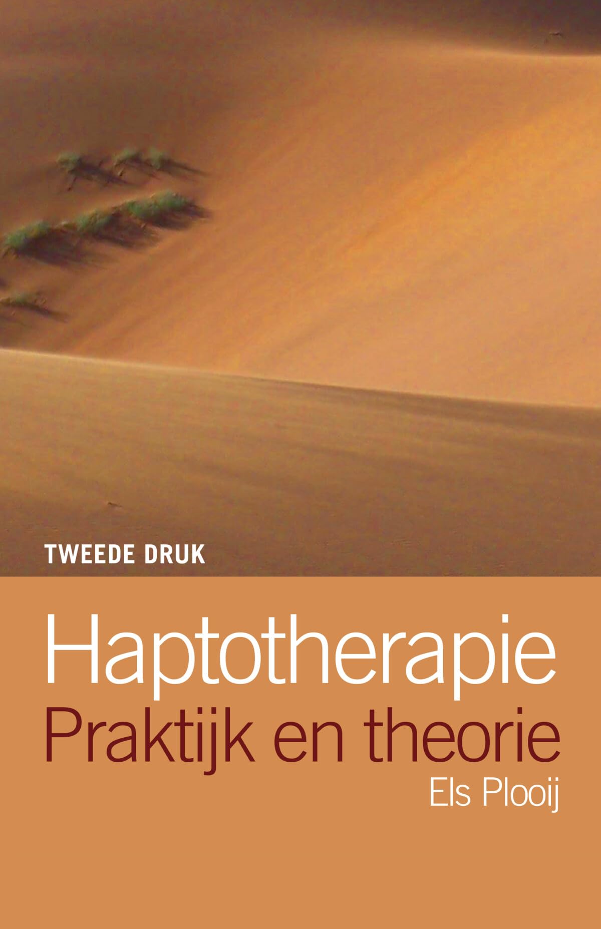 Haptotherapie: praktijk en theorie