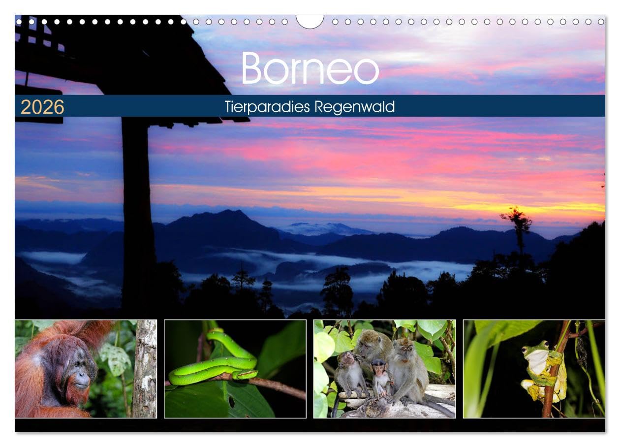 Borneo - Tierparadies Regenwald (Wandkalender 2026 DIN A3 quer), CALVENDO Monatskalender: Eine tierische Bilderreise durch Borneo (CALVENDO Tiere)