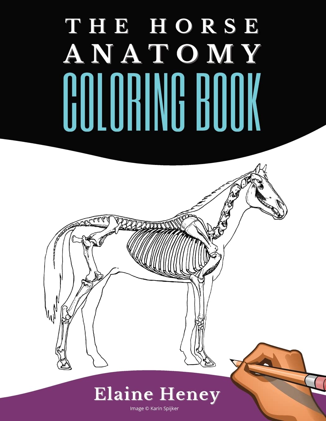 Horse Anatomy Coloring Book For Adults - Self Assessment Equine Coloring Workbook: Test Your Knowledge - For Equestrians & Veterinary Students