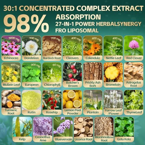 27-in-1 Liposomal Lymphatic Drainage Supplements Liquid drops, Lungs Detox & Lymph System Support with Echinacea, Chlorophyll, Dandelion, Burdock, Mullein for Immune Support, Cleanse & Detox, 2 FL OZ — view 3