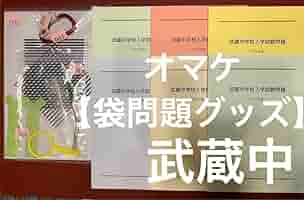 【非売品 新品 込 匿】武蔵クロニクル　武蔵中学　過去問50年 日能研 シカクいアタマをマルくする。