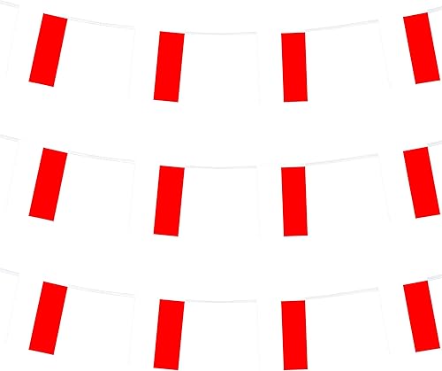 Vista 47 de ZXvZYT Cadena de bandera haitiana de Haití, pequeñas mini banderines de Haití, para gran apertura, eventos deportivos nacionales, decoraciones