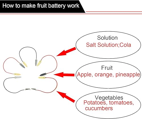 Miniatura 7 de EUDAX Kit de experimento científico de batería de frutas con reloj electrónico y LED RGB para bricolaje juguete de enseñanza en casa, proyecto de
