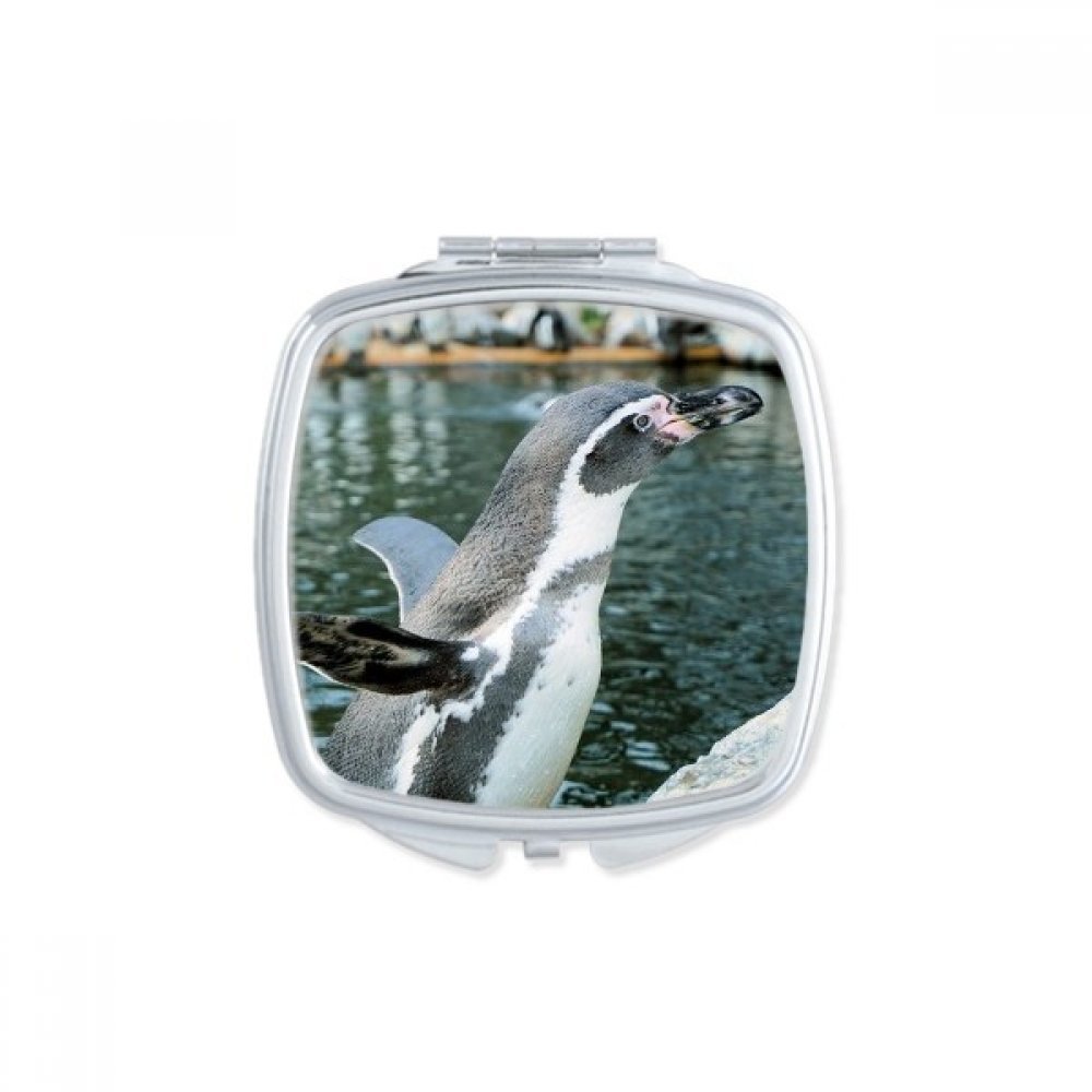 Miroir de poche Antarctique penguin carré petit format maquillage