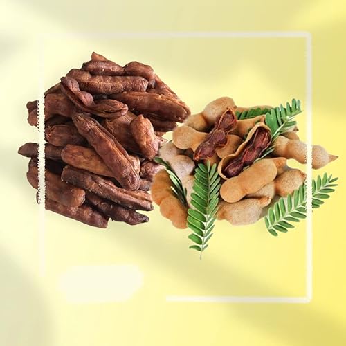 Miniatura 8 de Tamarindo de fruta real seca fresca sin semillas See-Chom-Phoo pequeños trozos pequeños agrios y dulces 5.29 oz. (5.29 Oz.)