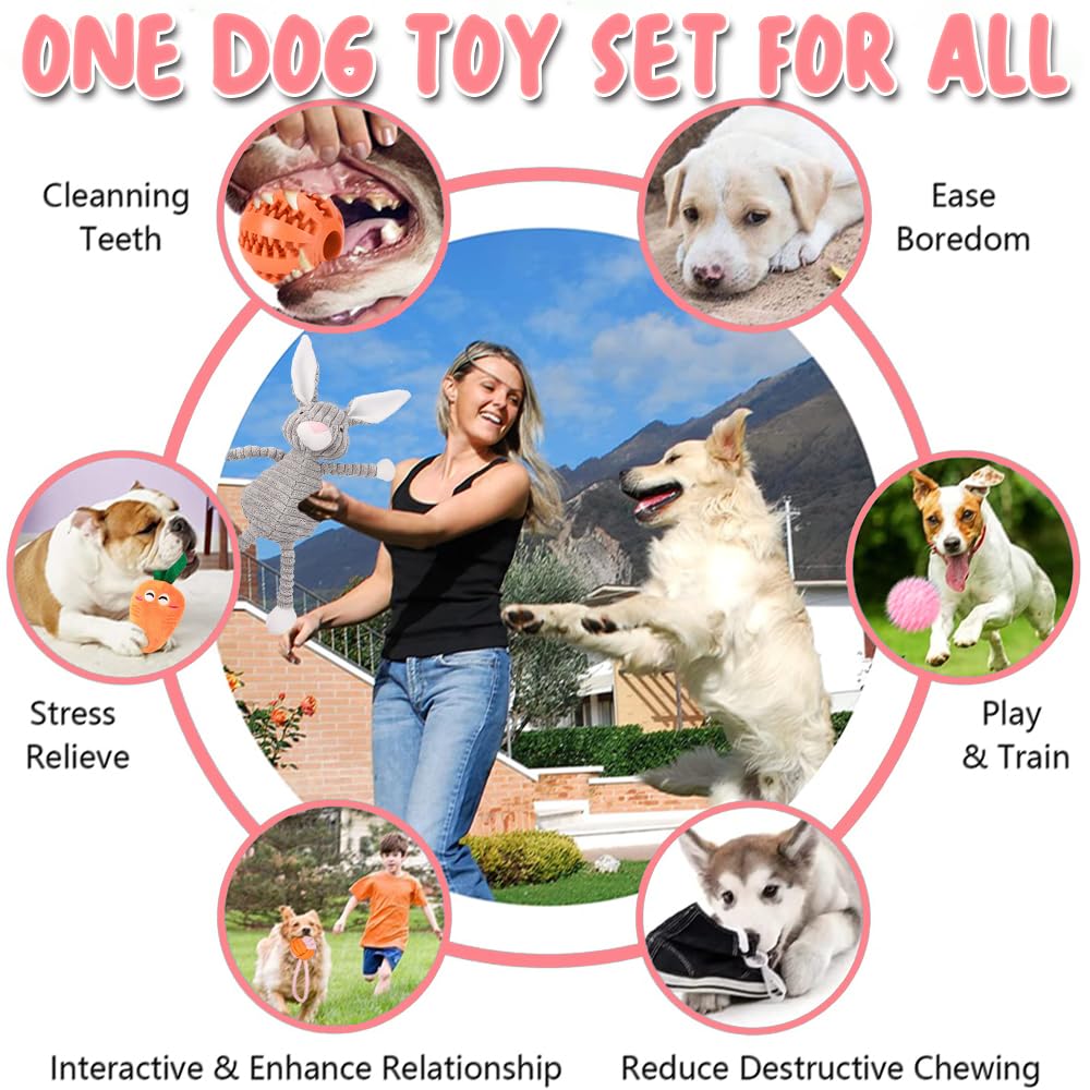 Speedy Panther 10Pcs Dog Toys for Small Dogs Squeaky Plush Dog Toys Set, Puppy Teething Toys Rope Ball - Image 2