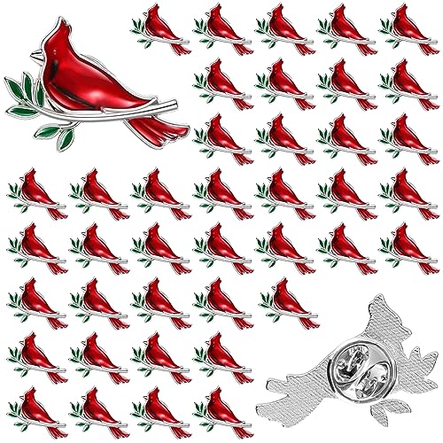 Image of Jexine Memorial Cardinal Sign Pins Set Funeral Pocket Token Guardian Gifts Pocket Oil Dropped Religious Funeral Favors Celebration of Life Memorial Sympathy Gifts Cardinal Charms for Women Man