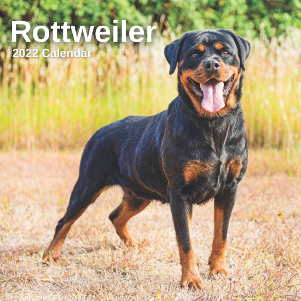 Buy Rottweiler 2022 - 12 Months of High-Resolution Rottweilers Photos ...