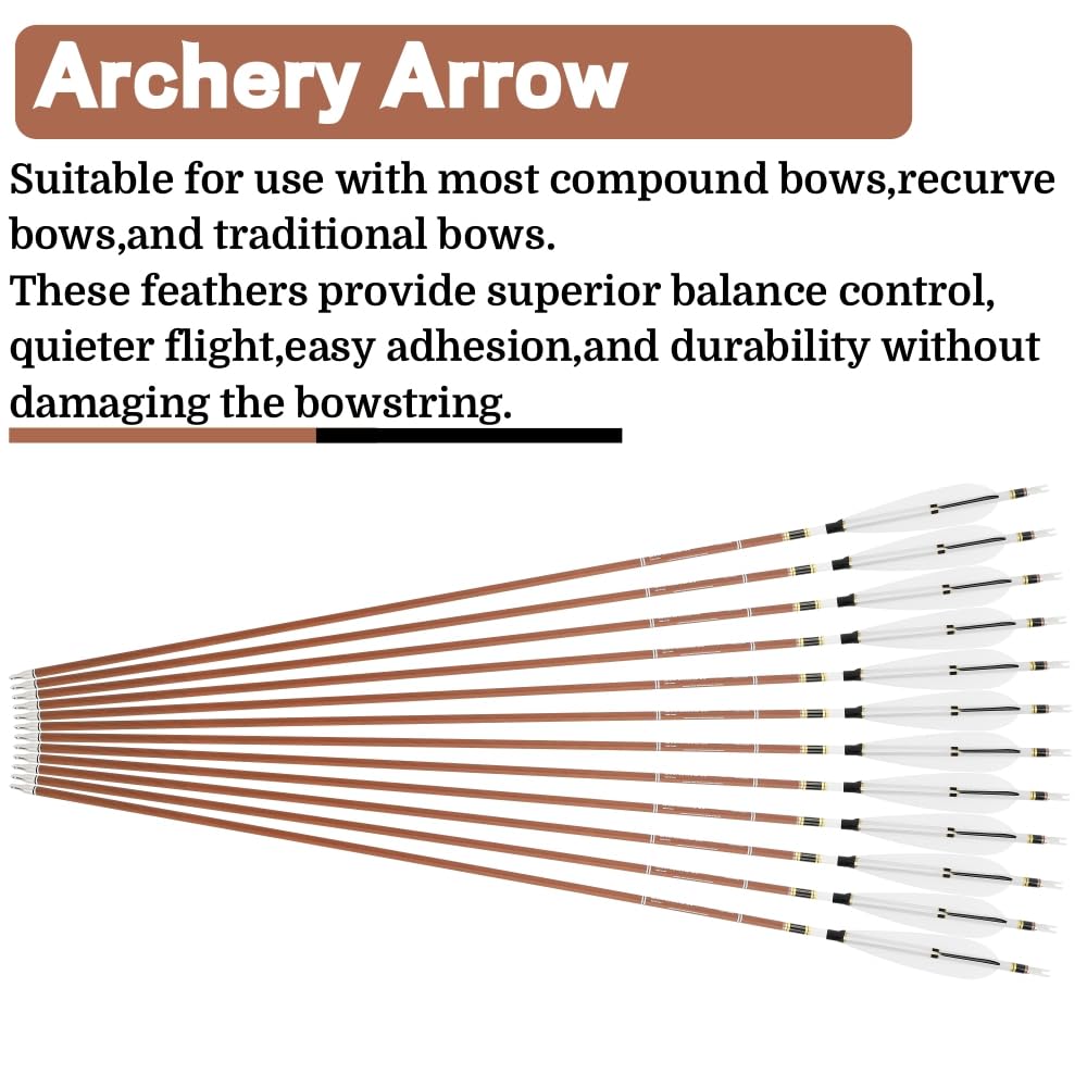 Flèches Archery 31 Pouces en Carbone Pur, 12 pièces, Spine 340, 400, 500, 600, diamètre de la Tige 6,2 mm, Pointe de flèche 100 Grains, Plumes Naturelles