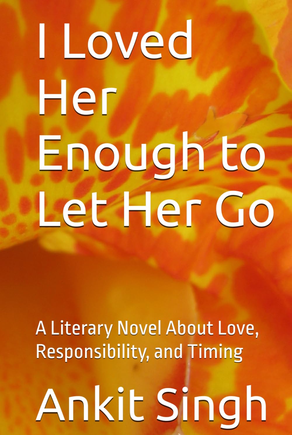 I Loved Her Enough to Let Her Go: A Literary Novel About Love, Responsibility, and Timing