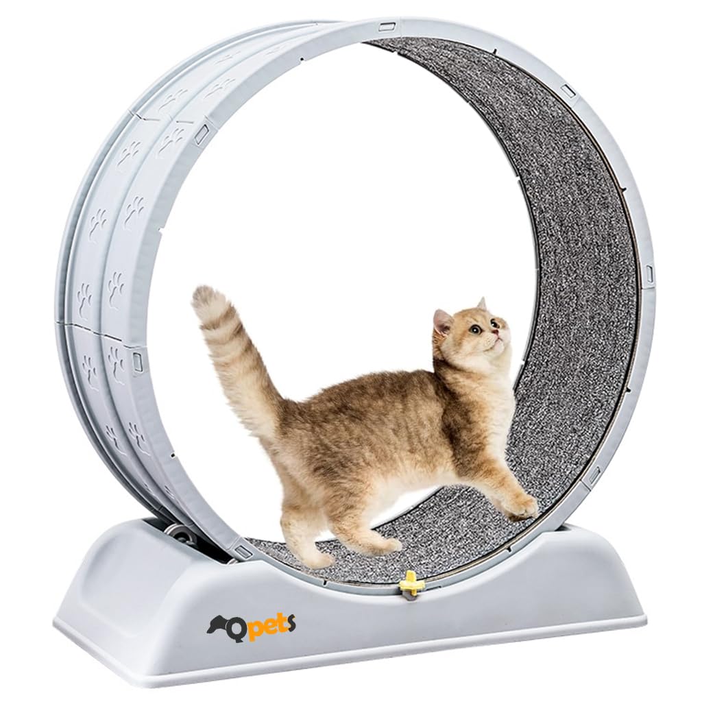 HASTHIP® Cat Exercise Wheel, Large Silent Cat Running Treadmill Wheel for Indoor Cats, Cat Scratcher Track, Anti-Slip Base, Durable Pet Exercise Wheel for Running, Walking & Training (80x34cm)