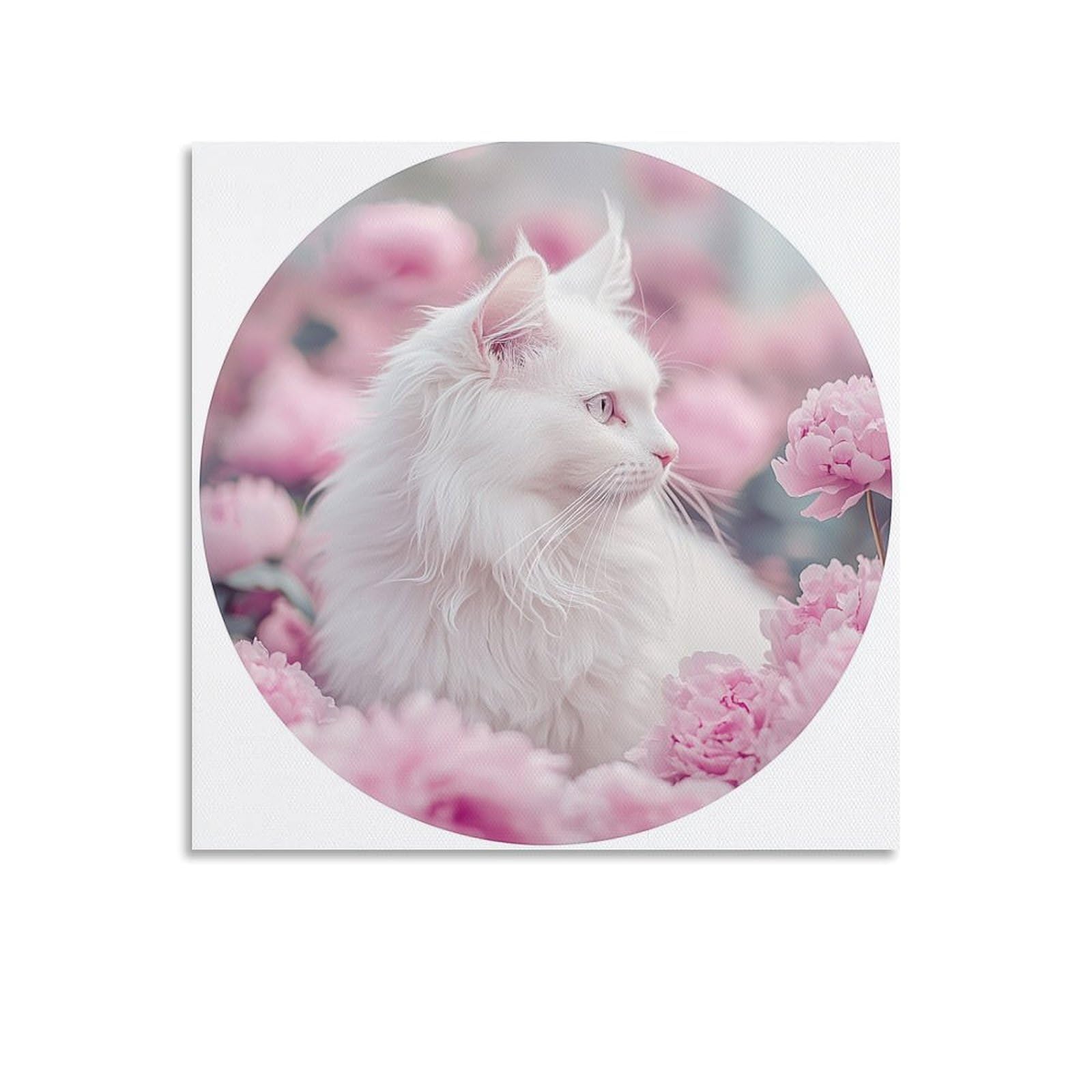 Jubonexis White Long Haired Cat Canvas Wall Art Poster Painting Aesthetic Picture for Living Room Farmhouse Decor Unframed 16x16inch(40x40cm)