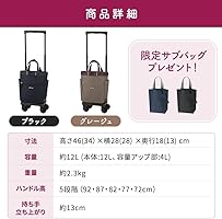 SWANYスワニー　ルバンドIII グレージュ 4輪ストッパー　取説付 SWANY（キャリーバック） スワニー キャリーバッグ SWANY