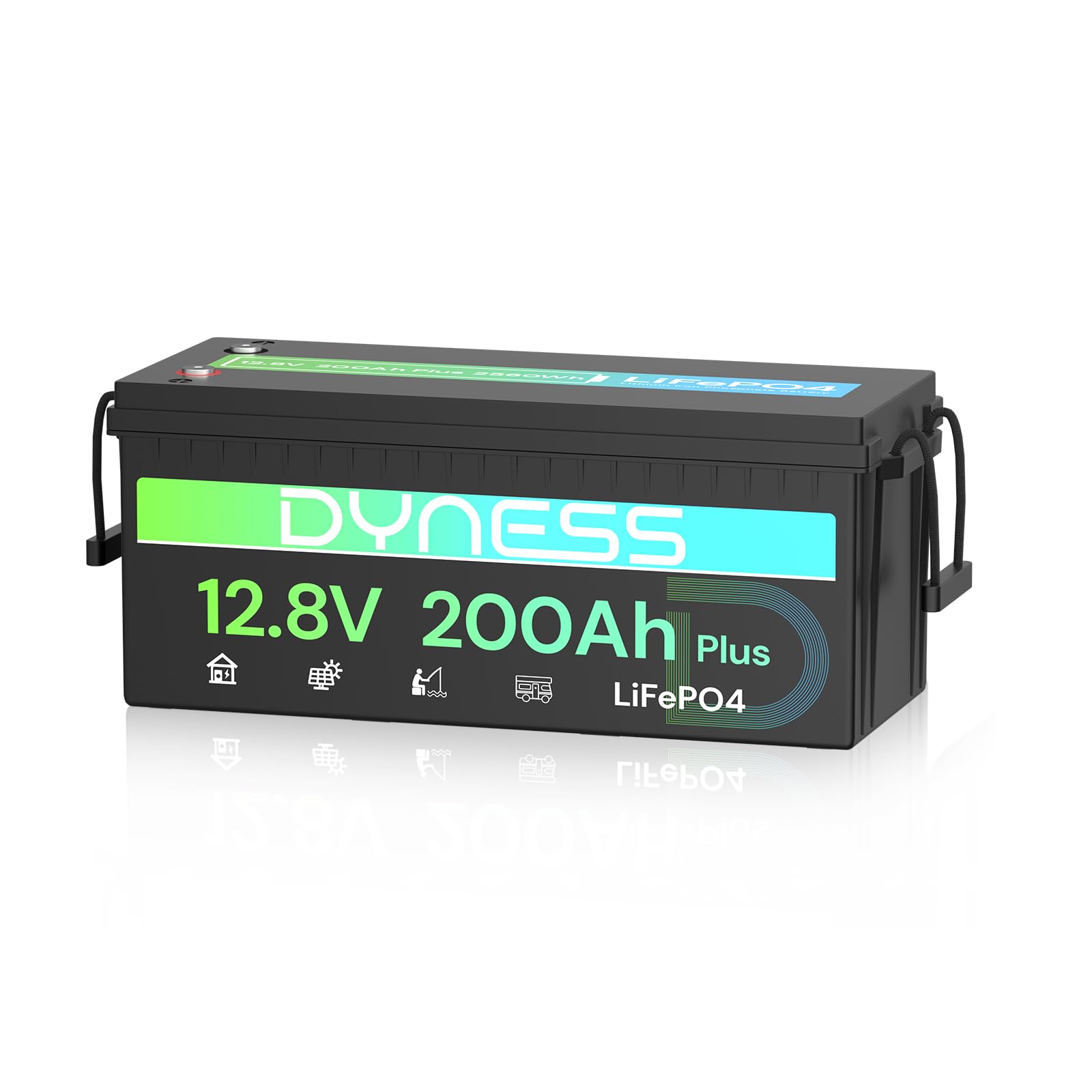 Dyness Batterie Lithium 12V 200Ah LiFePO4 avec BMS 200A, 2560Wh pour Camping-Car/Marin à Décharge Profonde, Solaire, Aventure/Van, Hors-Réseau