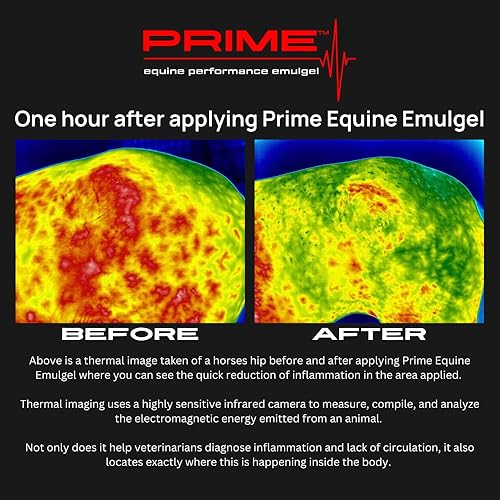 Miniatura 9 de Prime Equine - Emulgel de caballo tópico natural para aliviar el dolor articular y muscular para recuperación y rendimiento, mejor que el linimento,