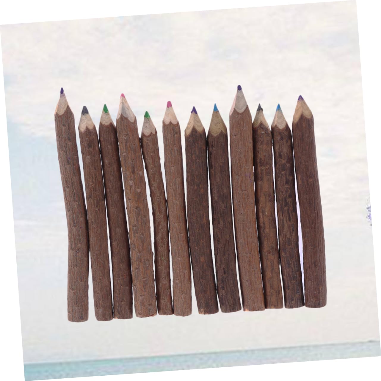 LALAFINA 24pezzi Matite Colorate Di Ramo Per Disegno Artistico Matite Di Bark Per Creatività e Attività All Aperto Per Insegnanti