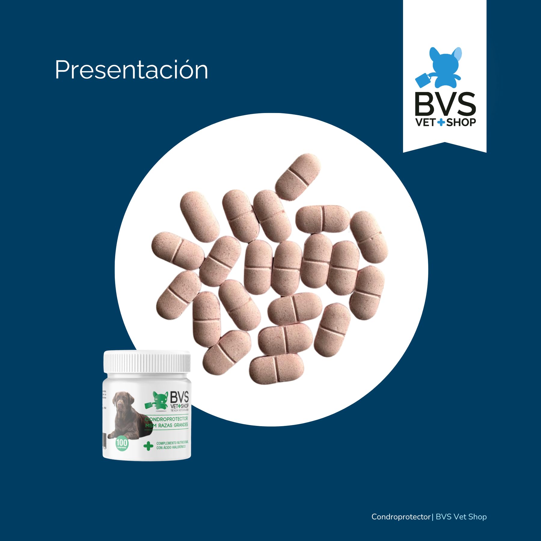 Condroprotector Razas Grandes MSM para Perros 150 Comprimidos