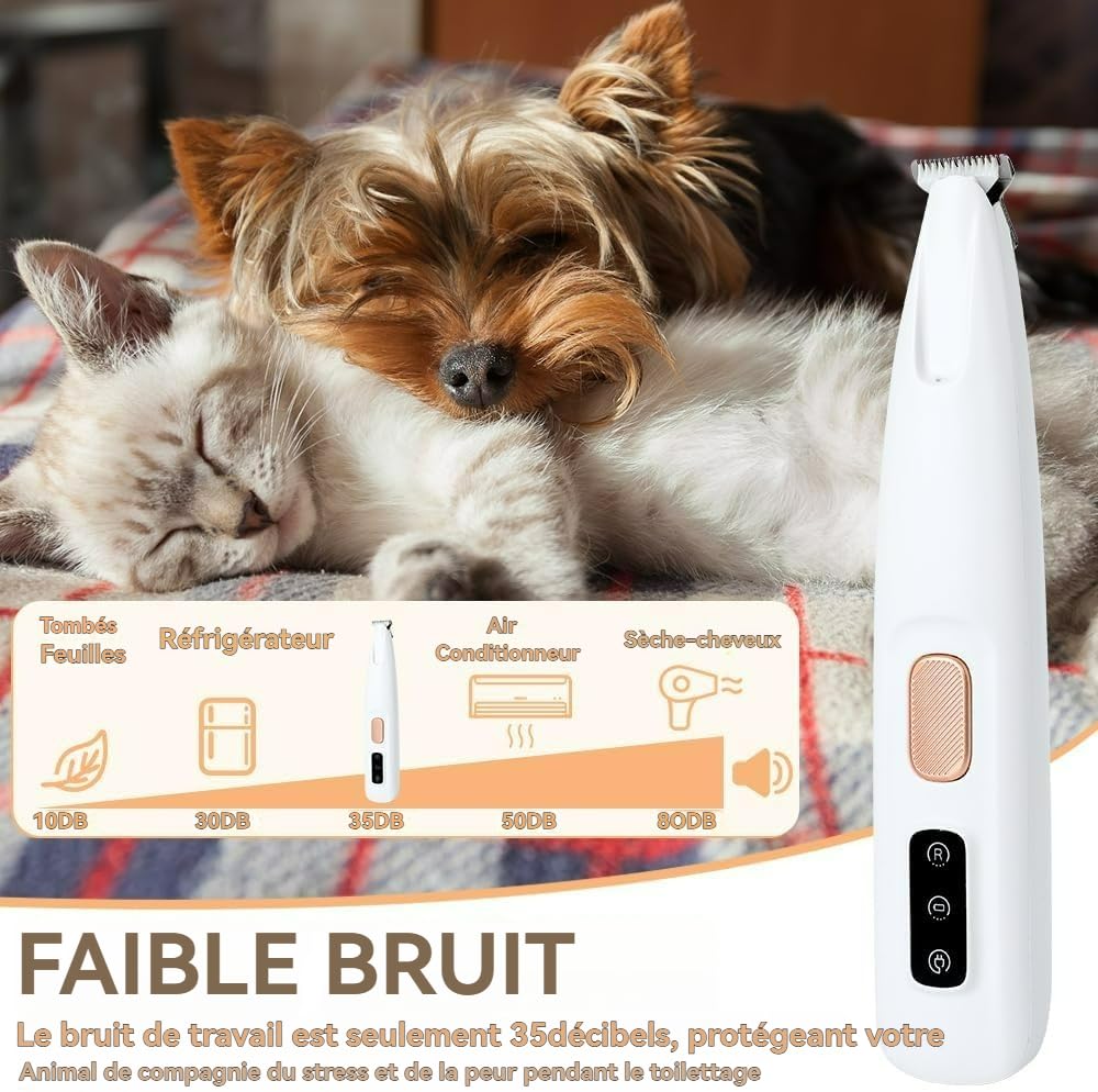 Patounet Tondeuse de Précision pour Chat, Tondeuse Patounet Chat, Tondeuse Chien Silencieuse avec des Lumières LED, Étanche IPX4, pour Pattes, Yeux, Oreilles, Visage et les Fesses (1 article)