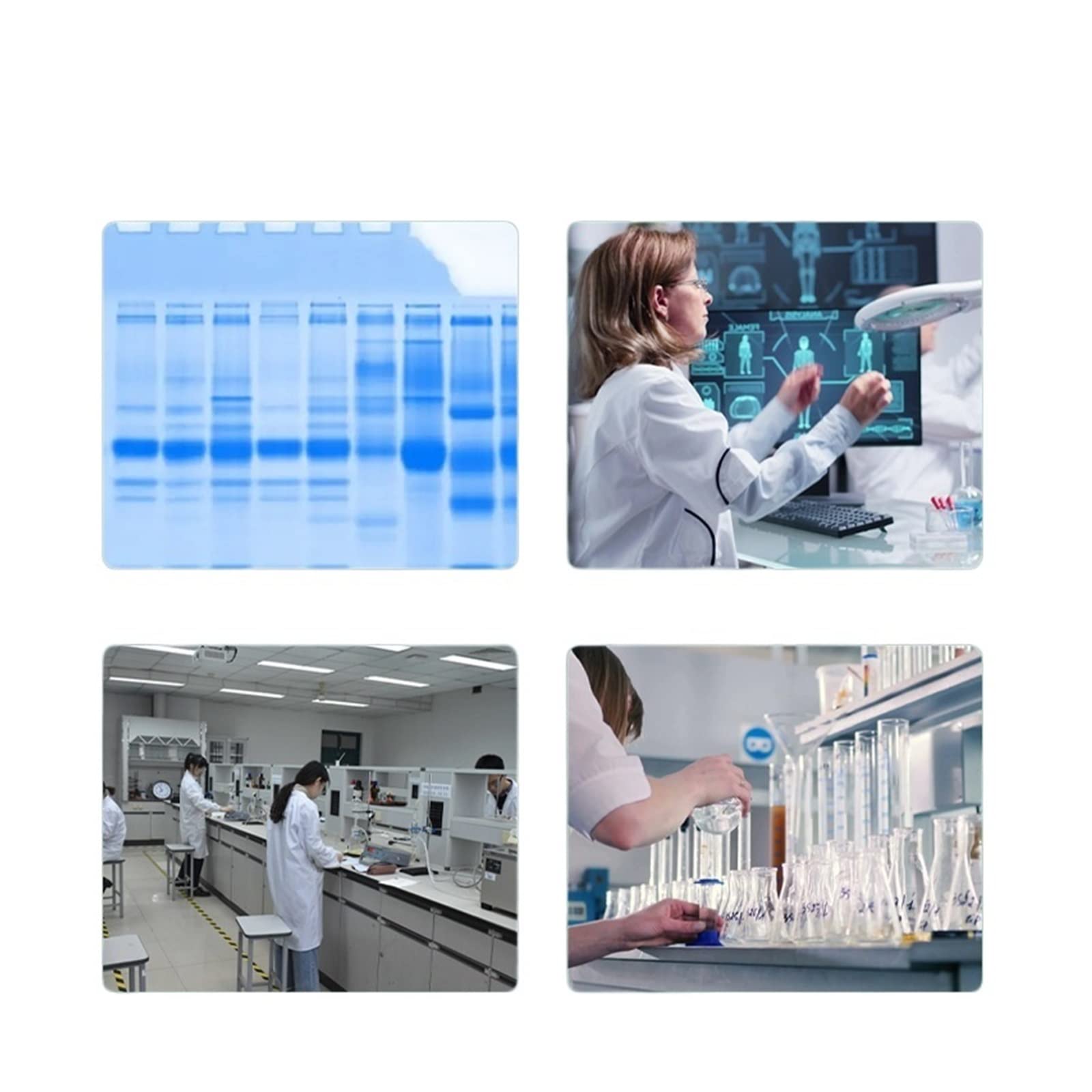 Elektrophorese Geraet, DYCZ- 24A Mehrzweck-Doppel-Vertikal-Elektrophorese-Instrument Labor-Protein-Gel-Elektrophorese-Tank
