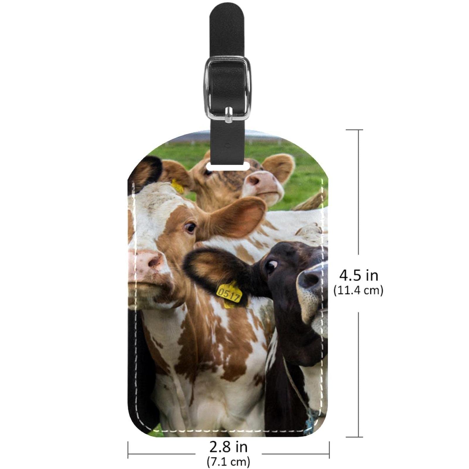 Etichette per bagagli 2 Pack Animal mucca ranch prateria bovini PU pelle bagagli tag protezione privacy