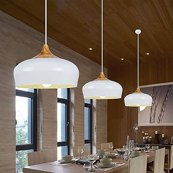 Amazon.com: JXINGZI Simple Deluxe 1-Pack Modern Dome Ceiling