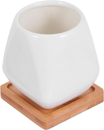 Miniatura 10 de Happyyami Tooth Creative Flowers Pots Flower para Vase Heart Cute Macetas Vases Shape Succulent Cylinder Plant Ceramic with White Mini Flowerpot