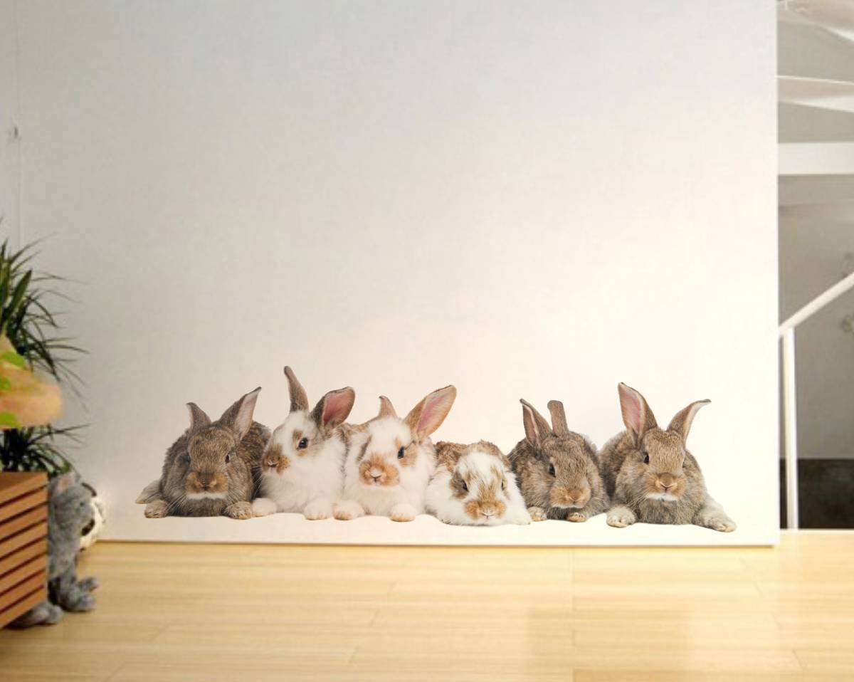 Rawpockets Group of Rabbit  Wall Sticker (PVC Vinyl, 120 cm x 35cm) (RPC824) (B074TJ34BR) Amazon Price History, Amazon Price Tracker