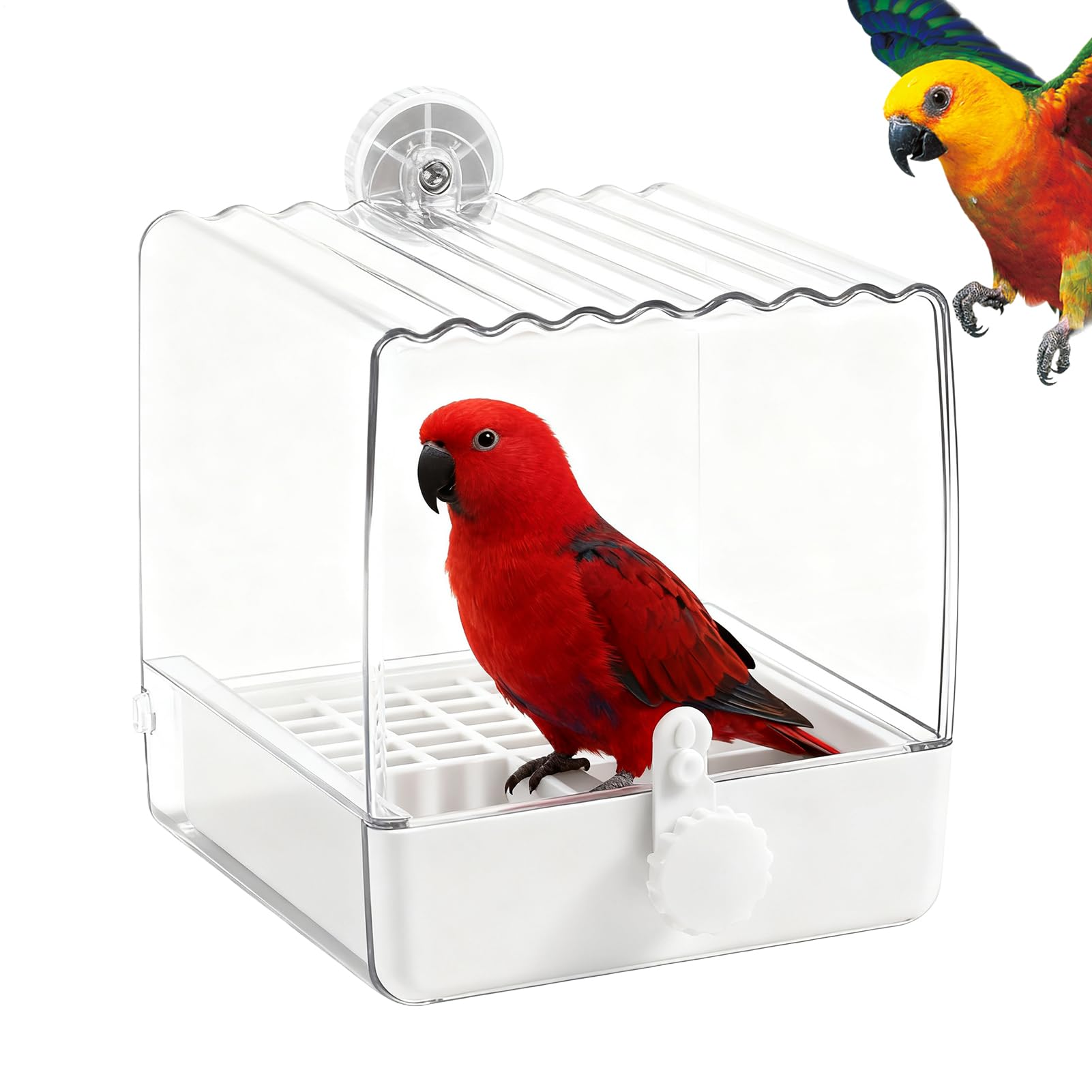 Douche à oiseaux et mangeoire bol d'alimentation pour cage de petits perroquets
