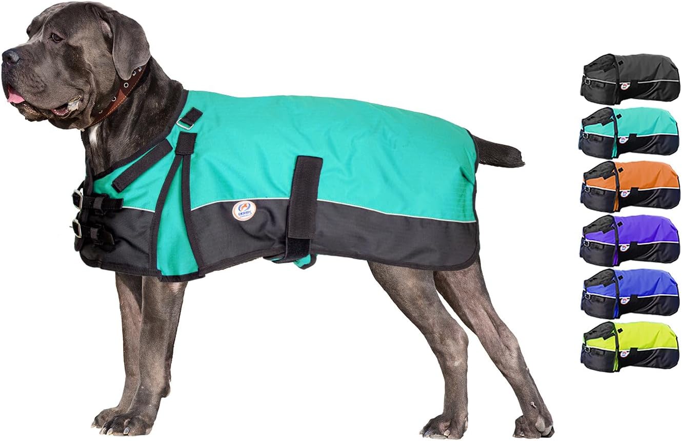 Horse Tough 600D Ripstop Waterproof Reflective Winter Dog Coat 150g Medium Weight, Turquoise, 26.5"