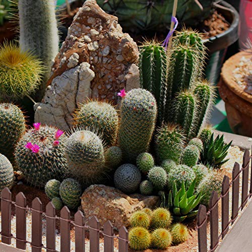 Mohern Miniature Fairy Garden Accessories, 80 Inch Fairy Garden Fence, Fairy Garden Supplies, Brown And White Fairy Garden Kits #TOP5