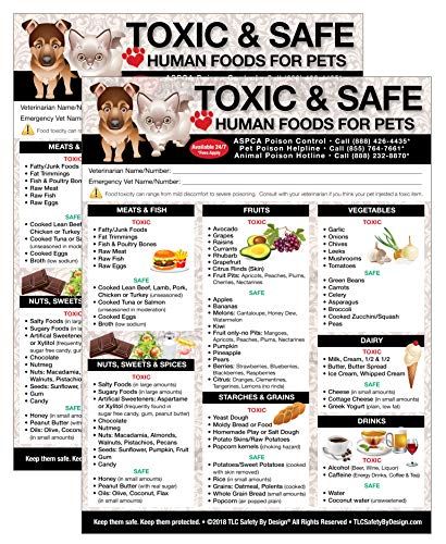 Premium Toxic and Safe Foods Poison for Pets Dogs Cats Emergency Home Alone Large Format 8â€ x 10.5â€ Veterinarian Approved Refrigerator Safety Magnet (Qty. 2 from TLC)