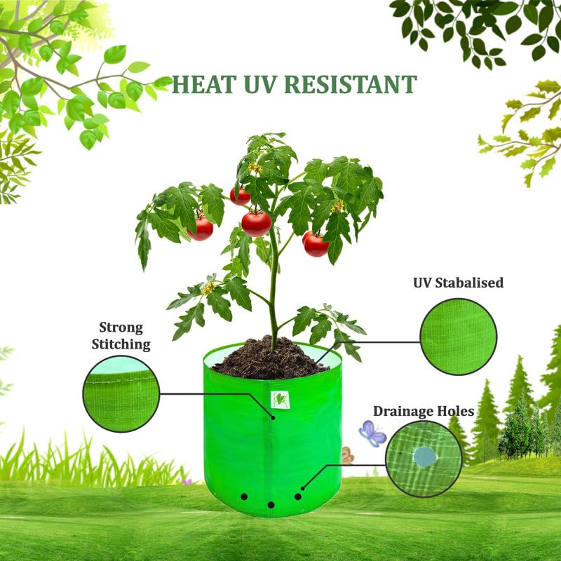 Image of Sow and Grow HDPE UV Protected 270 GSM Round Grow Bags for Terrace and Backyard Gardening Planters for Vegetable, Flower, Herbs and Fruits Green Color, Reusable Plant Bags (18x6 INCH, 5)