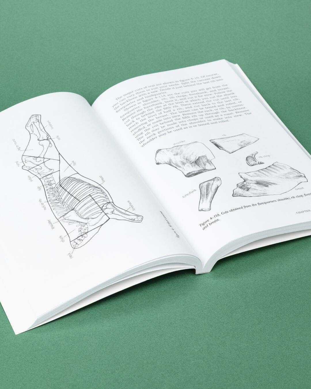 Basic Butchering of Livestock & Game: Beef, Veal, Pork, Lamb, Poultry, Rabbit, Venison - Image 5