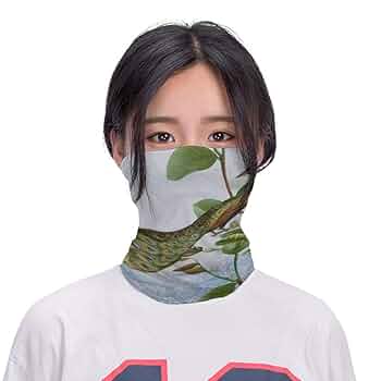 Amazon.co.jp: 三菱化学 2HDV40EC 2HD DOS/Vフォーマット 40枚