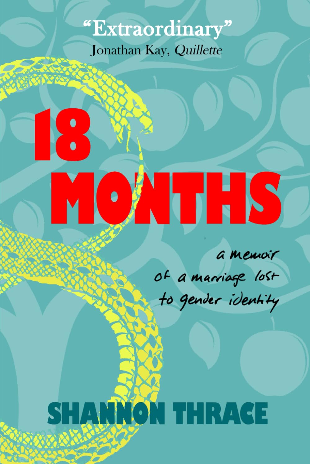 18 Months: A Memoir of a Marriage Lost to Gender Identity