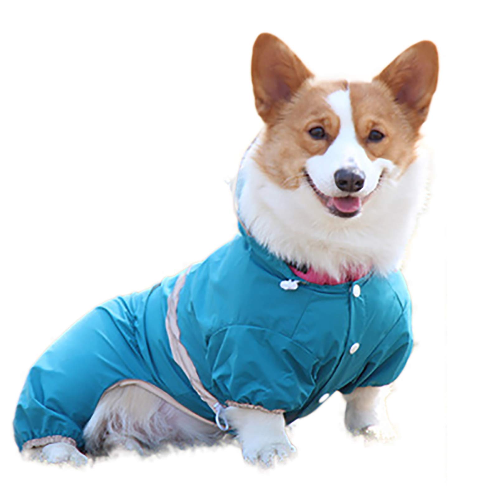 Imperméable pour chien avec combinaison réfléchissante pour balades