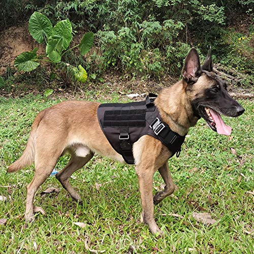 Icefang Tactical Dog Harness,Large Size, 2X Metal Buckle,Working Dog Molle Vest With Handle,No Pulling Front Leash Clip,Hook And Loop Panel #TOP1