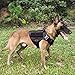 ICEFANG Tactical Dog Harness,Large Size, 2X Metal Buckle,Working Dog MOLLE Vest with Handle,No Pulling Front Leash Clip,Hook and Loop Panel