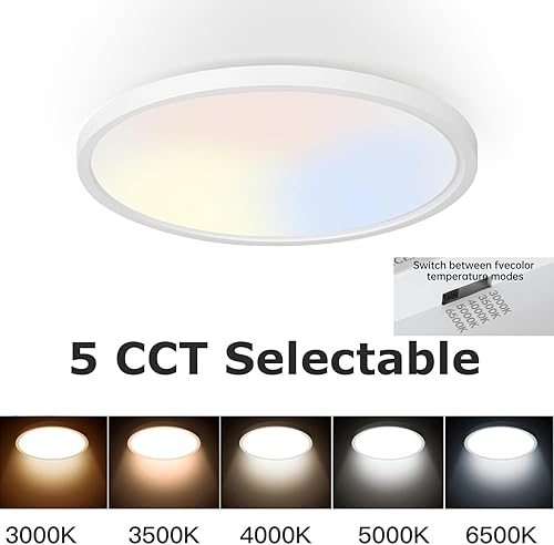 Miniatura 130 de TALOYA Lámpara de techo LED negra de 10 pulgadas, montaje empotrado, CCT 5 en 1 seleccionable (3000K/3500K/4000K/5000K/6500K), 2000LM 0.94 pulgadas