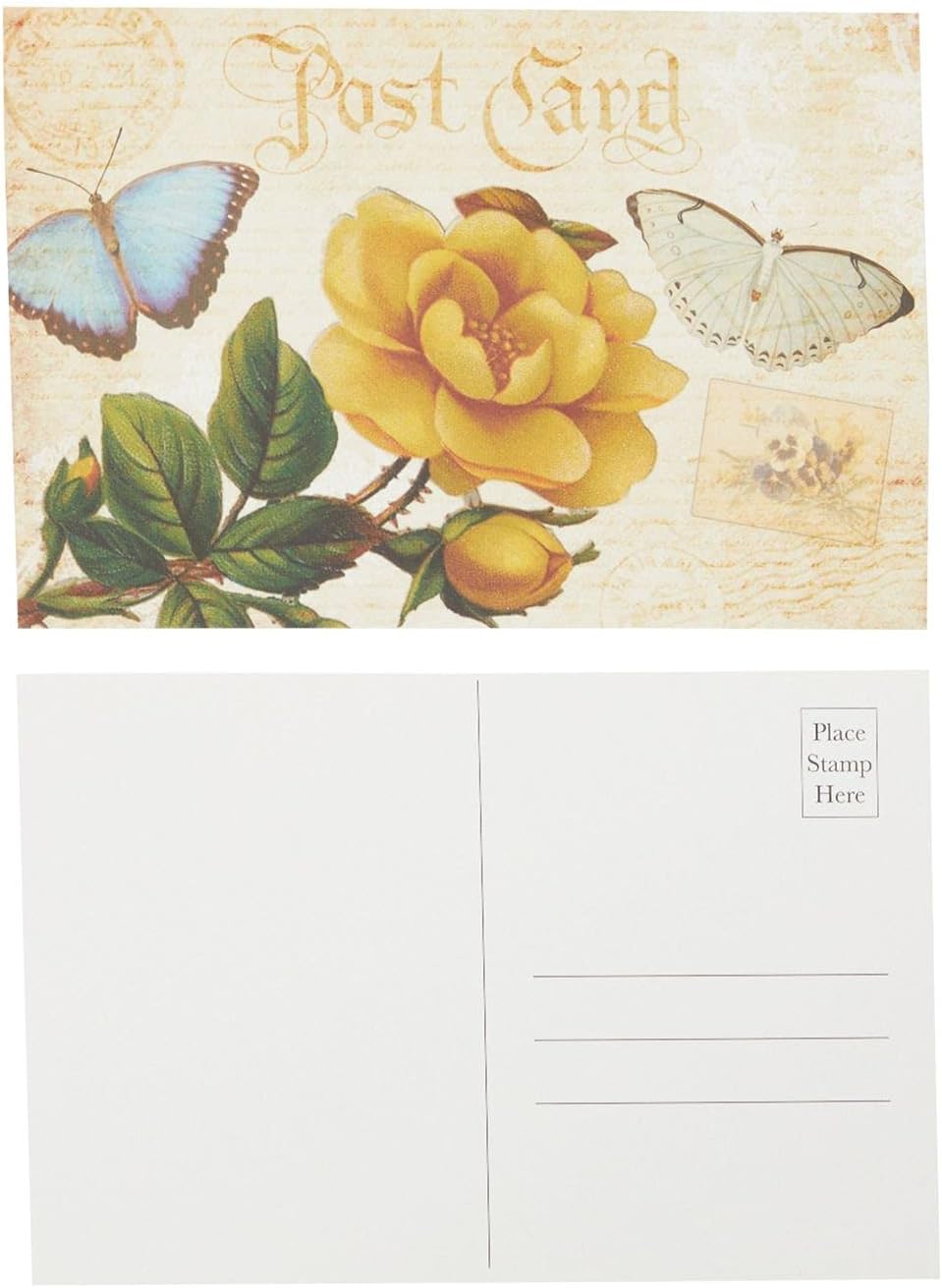 Victorian Vintage Postcards, Bulk Set with Floral Designs (4 x 6 In, 40 Pack) : Office Products