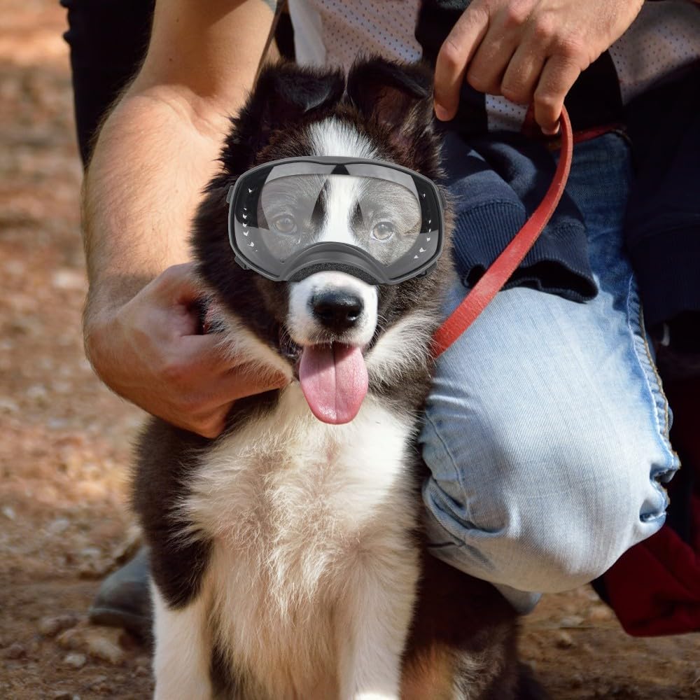 Hundebrille mit Weit Sichtfeld, Große Hunde Sonnenbrille, UV-Schutz Winddichte Schneedicht Hund Fliegerbrille mit verstellbarem Riemen für mittlere und große Hunde