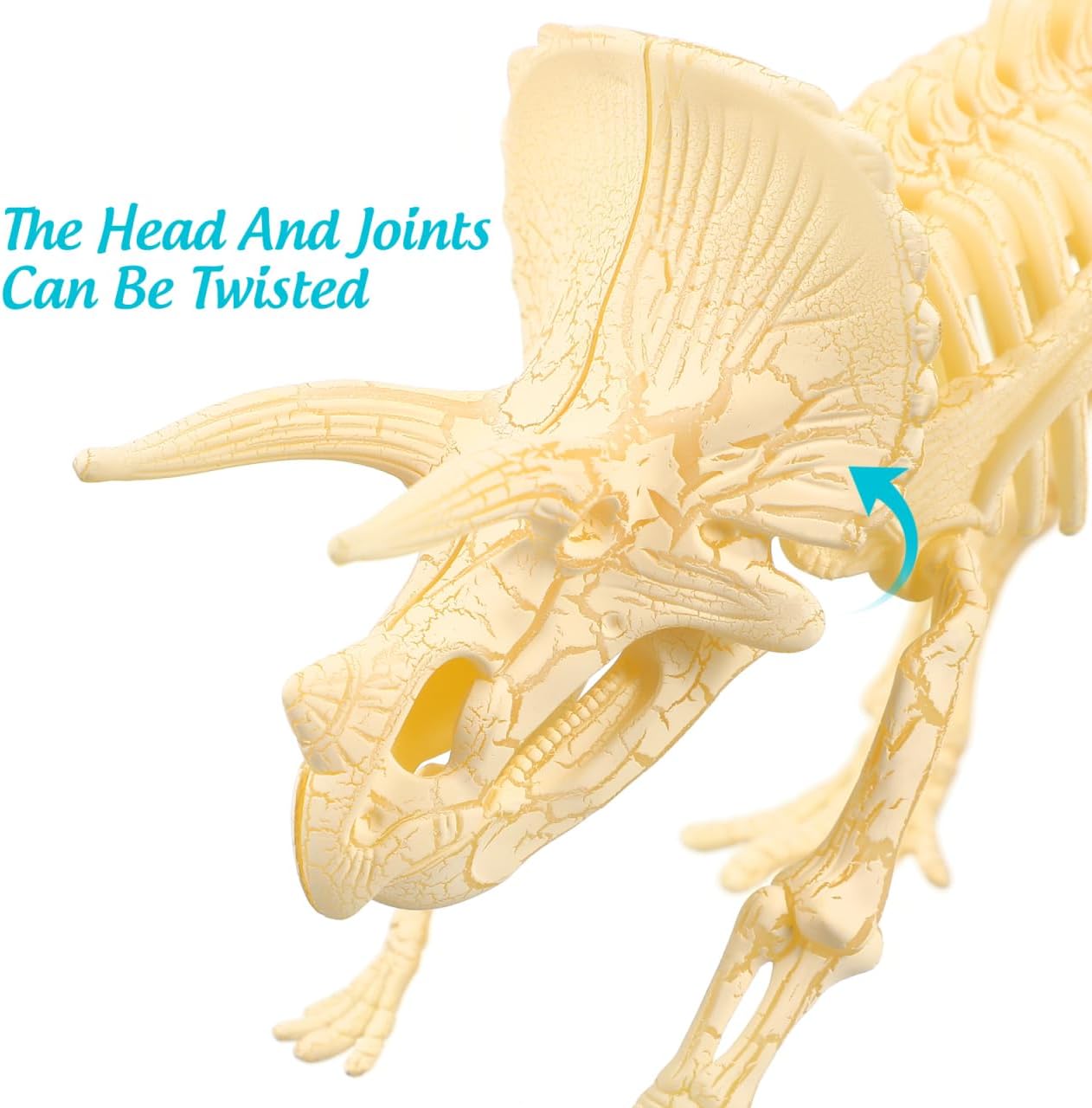 NUOLUX 3Pcs 4D Dinosaur Fossil Skeleton Toys DIY for Kids Fossil Skeleton Figure