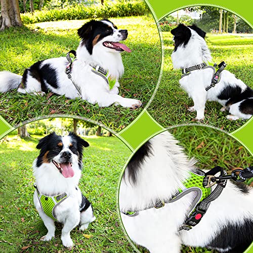 Eyein Hundegeschirr für Kleine Mittelgroße Hunde, Air Mesh Atmungsaktiv Brustgeschirr mit weichem Griff und Abschließbare Karabiner, ausbruchsicher reflektierend Hund Geschirr für Welpen, Grün, S