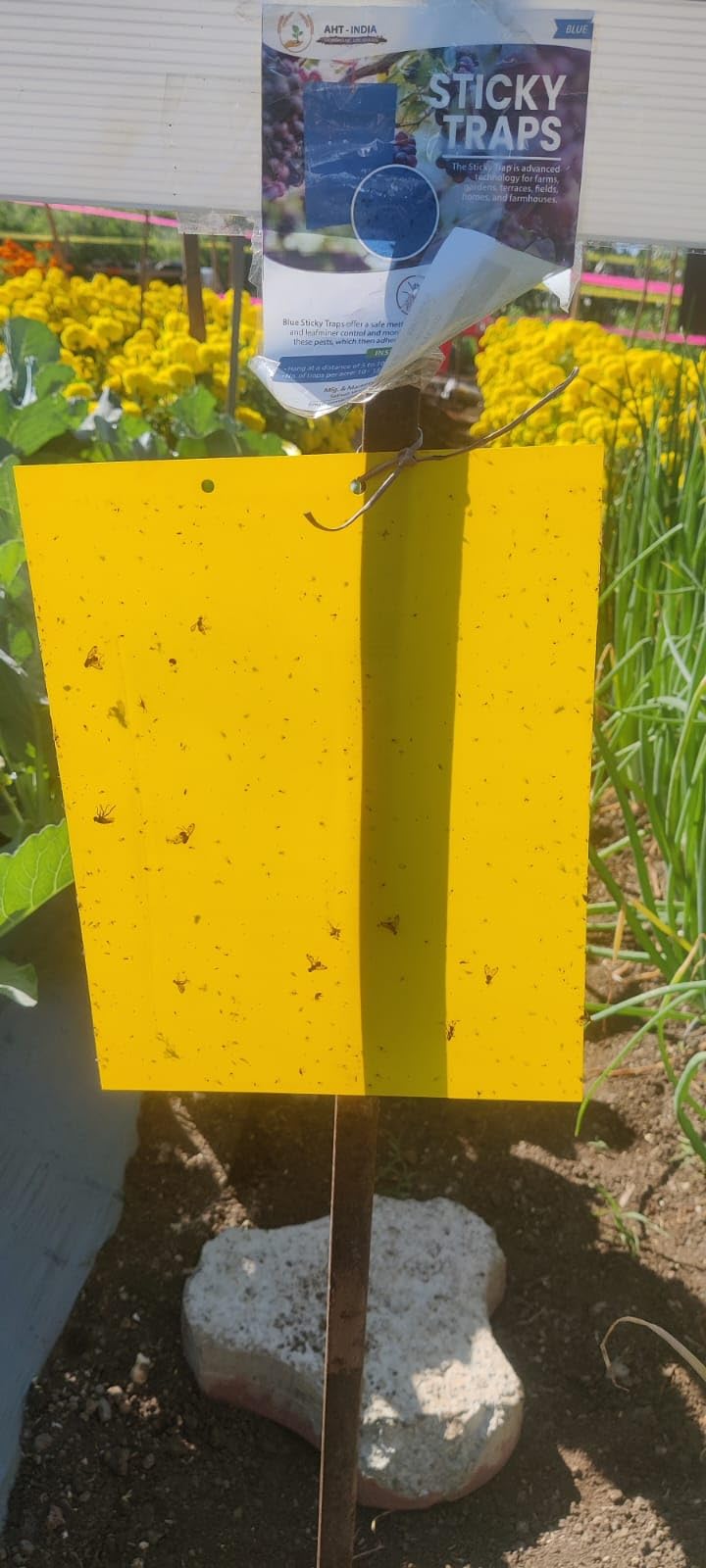 AHT-INDIA | Yellow Sticky Trap for Insect in Garden & Farm,Glue Trap/Fly Trap/Insect Catcher/Sticky Pads for Insects (5) (B0CZDX1BNZ) Amazon Price History, Amazon Price Tracker
